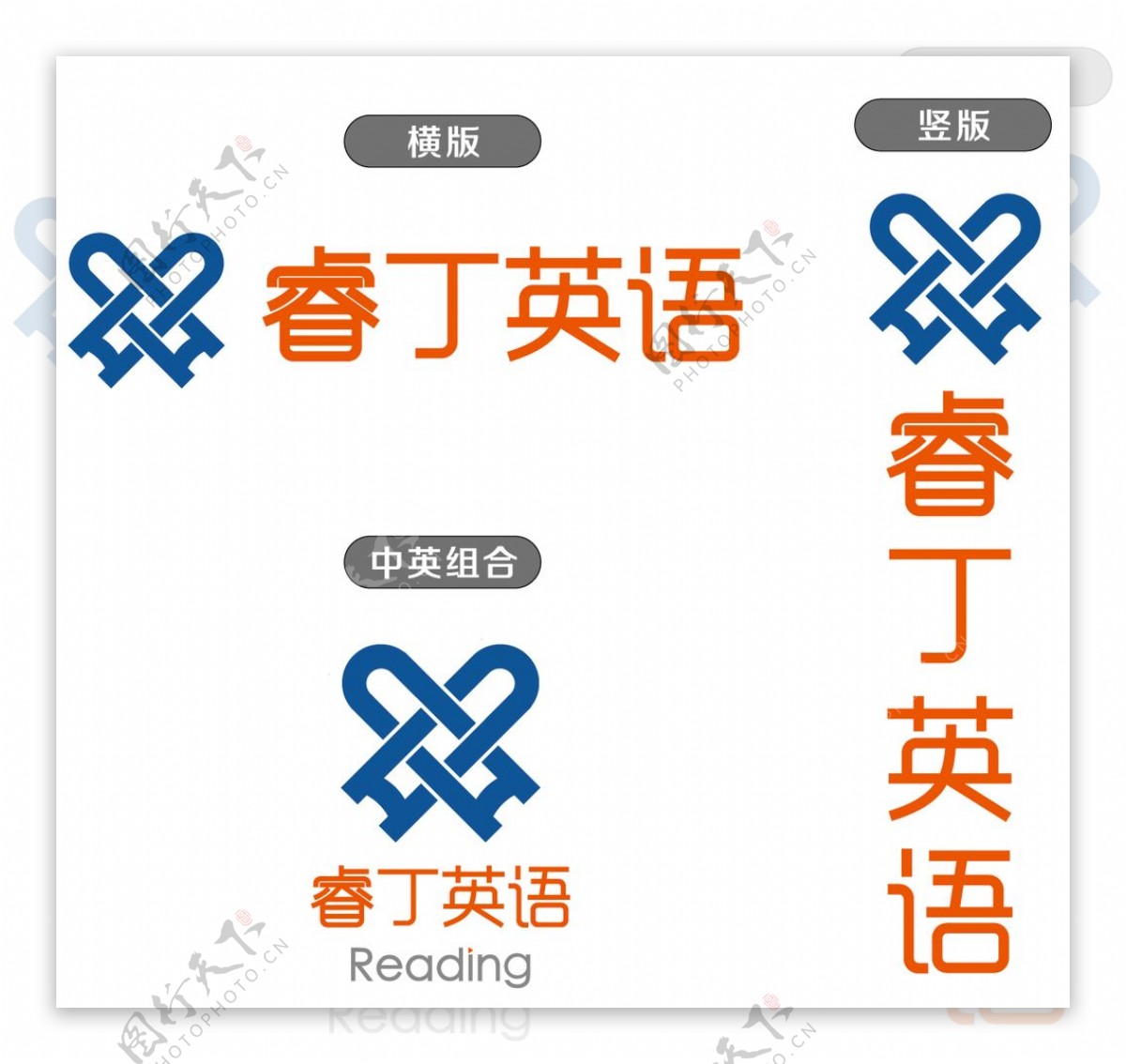 睿丁英语logo图片
