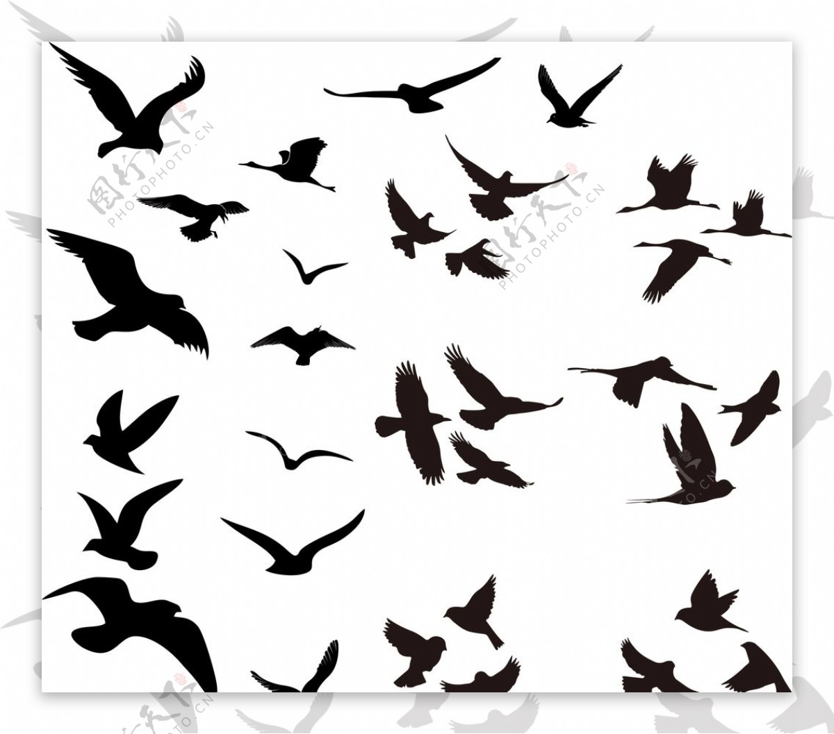 鸟类剪影合集图片