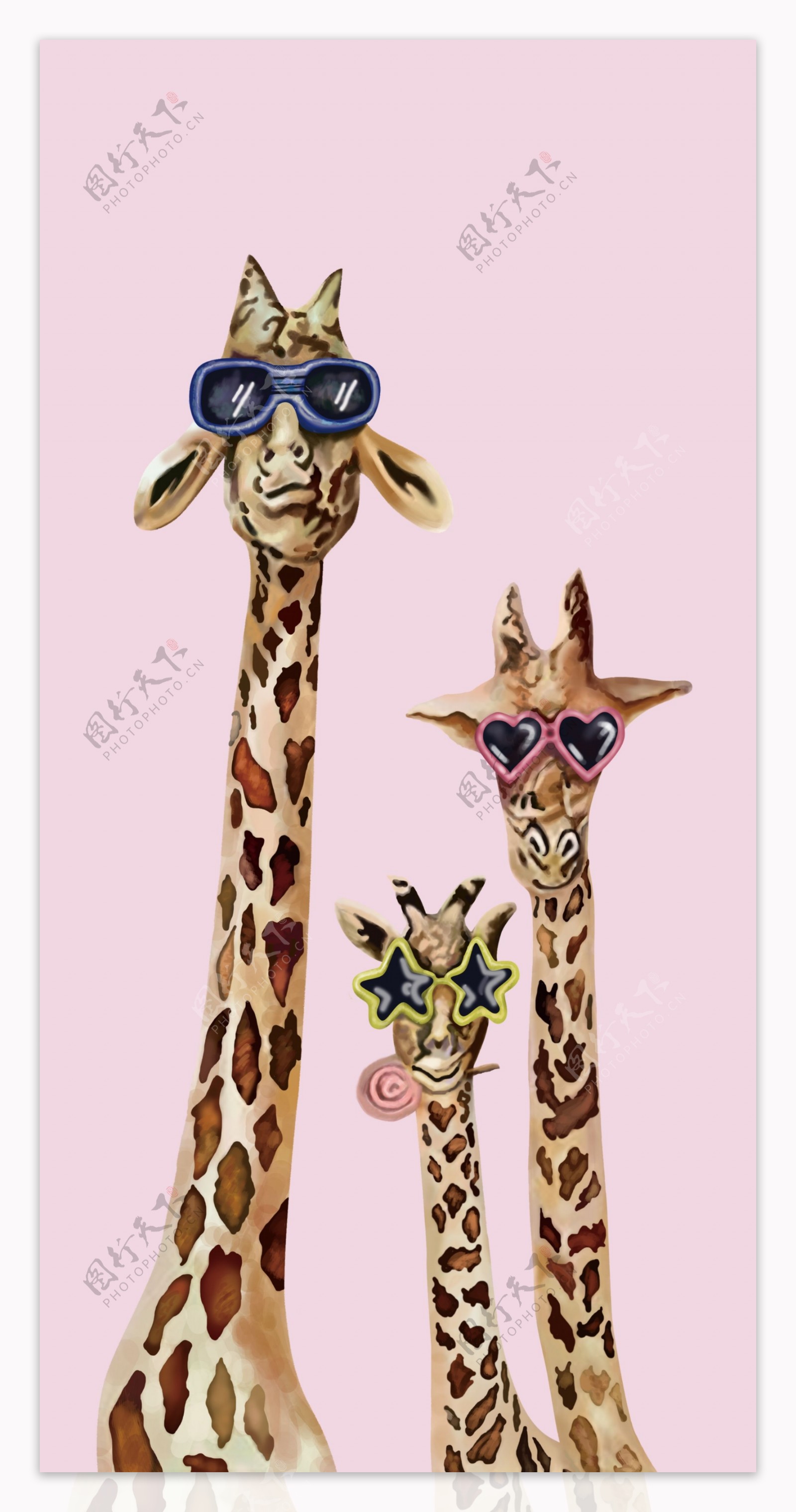 长颈鹿装饰画图片
