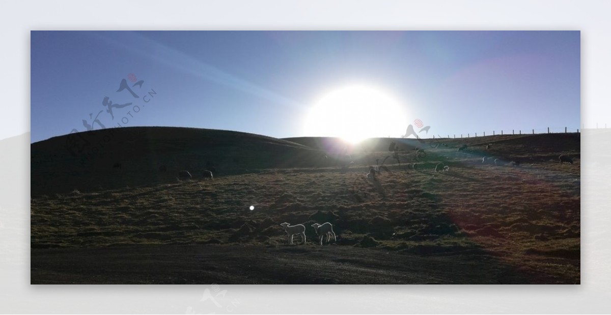 草原牧羊日落风景图片