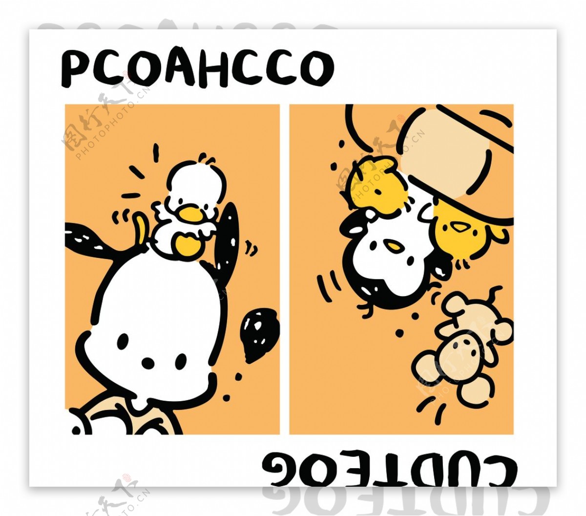 PCOAHCCO帕恰狗图片