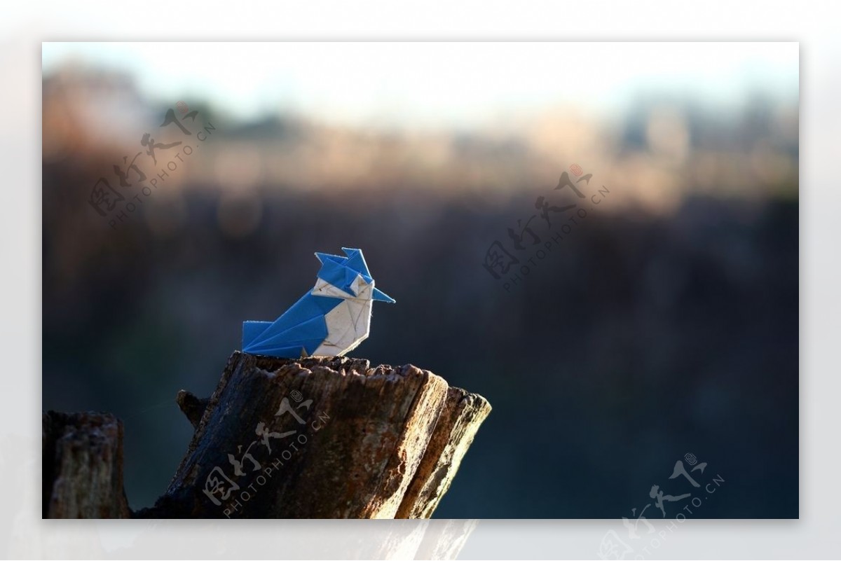 小鸟折纸木桩风景背景图片