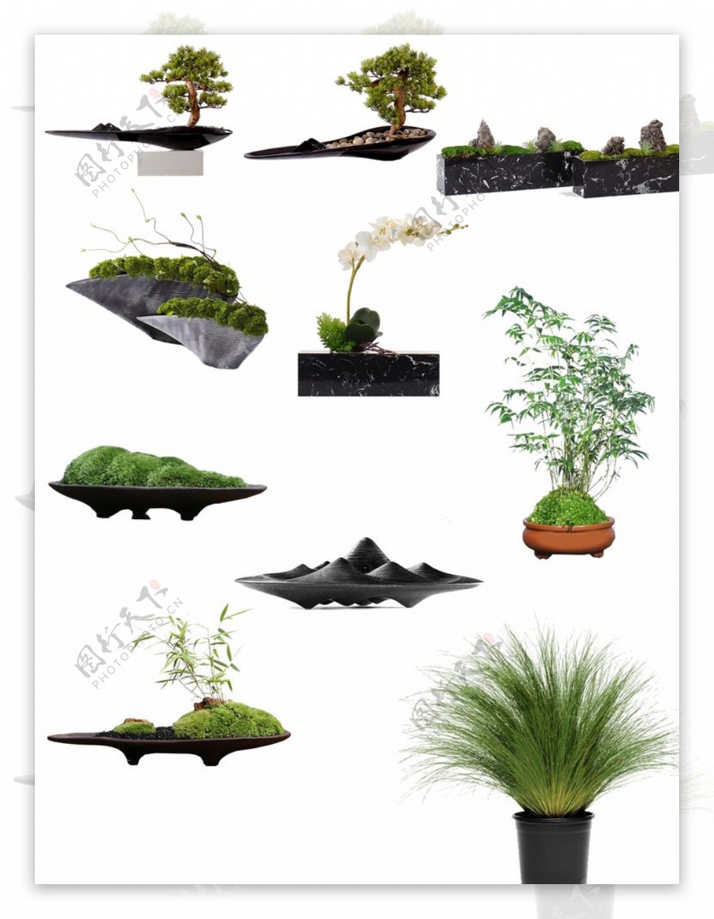 免抠高清植物盆栽图片