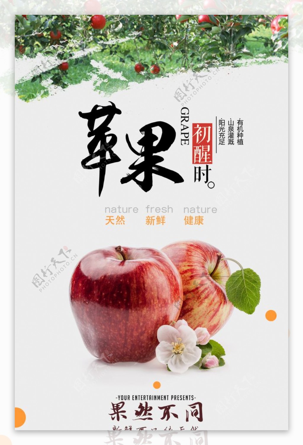 苹果水果活动宣传海报素材图片
