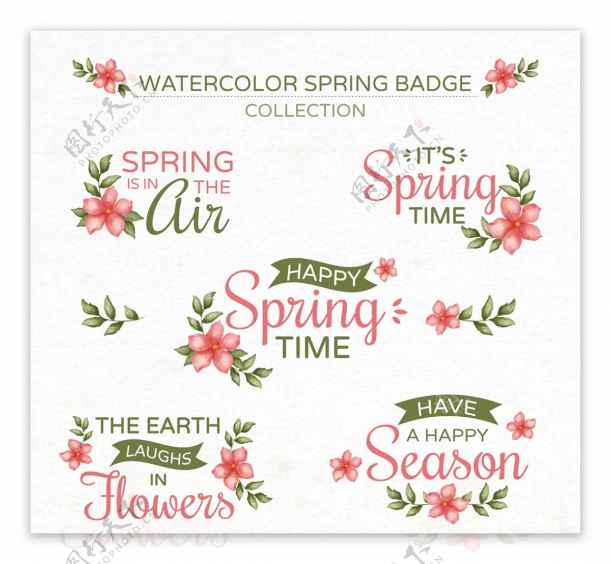 春季花卉徽章图片