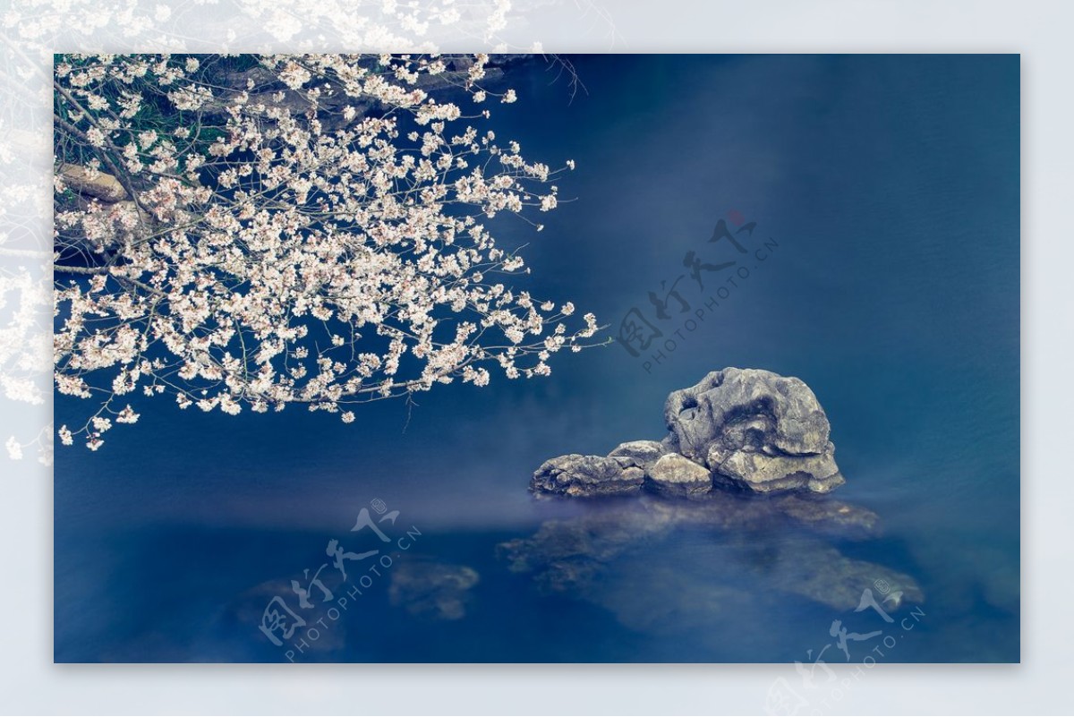 樱花山石旅游旅行海报素材图片
