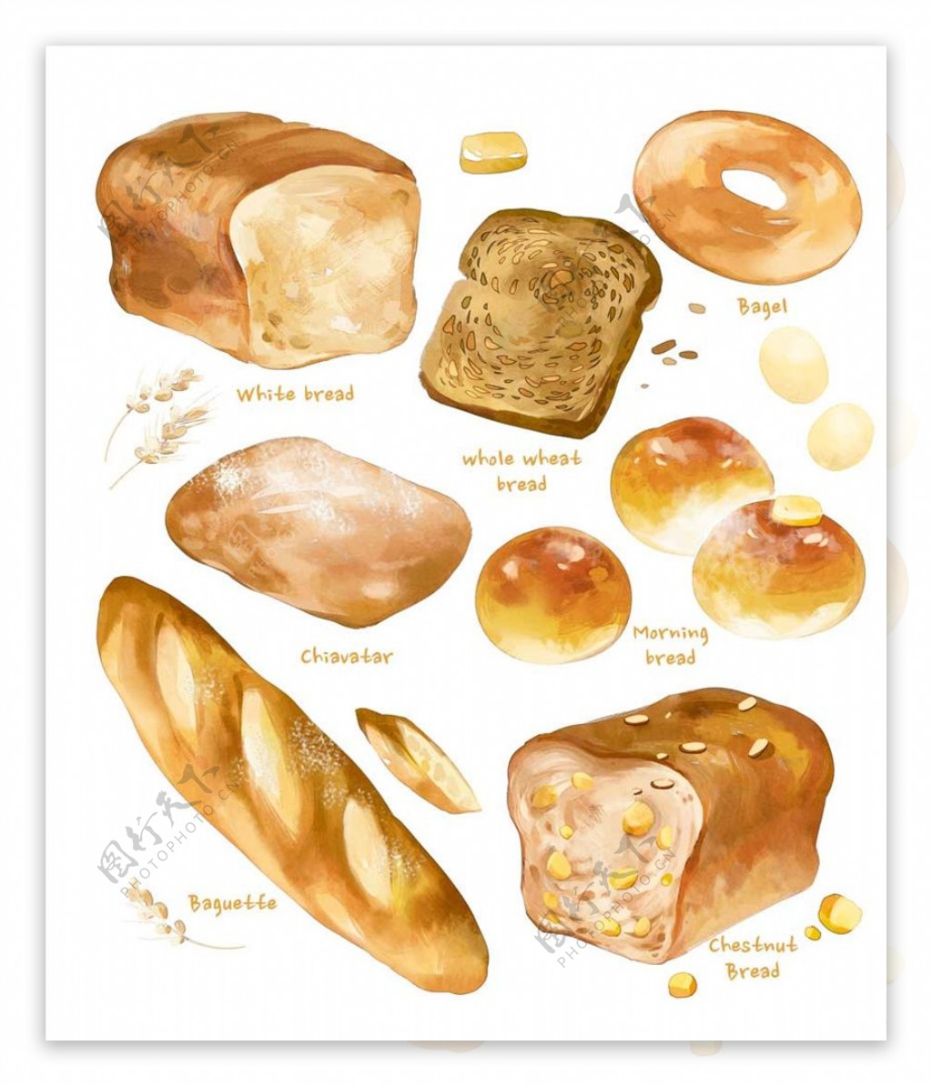 面包图片