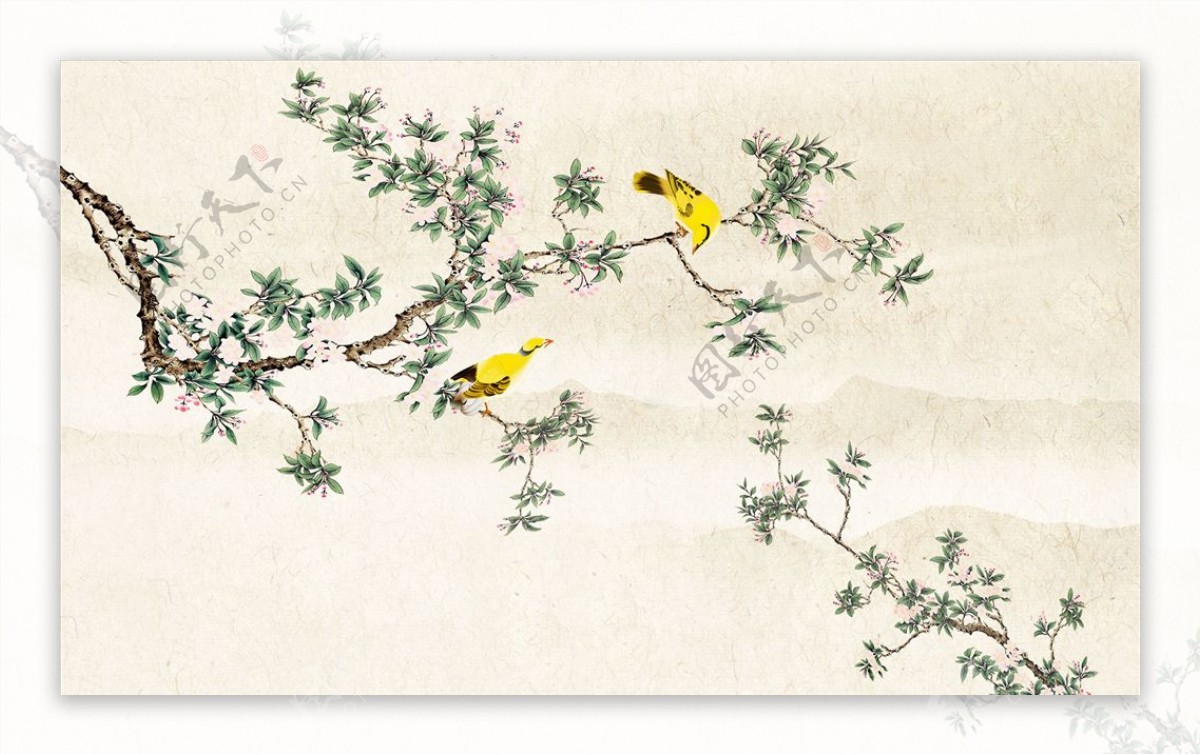 花鸟画黄鹂背景墙图片
