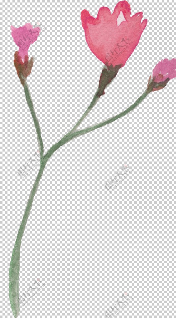 粉红手绘花朵设计花型图片