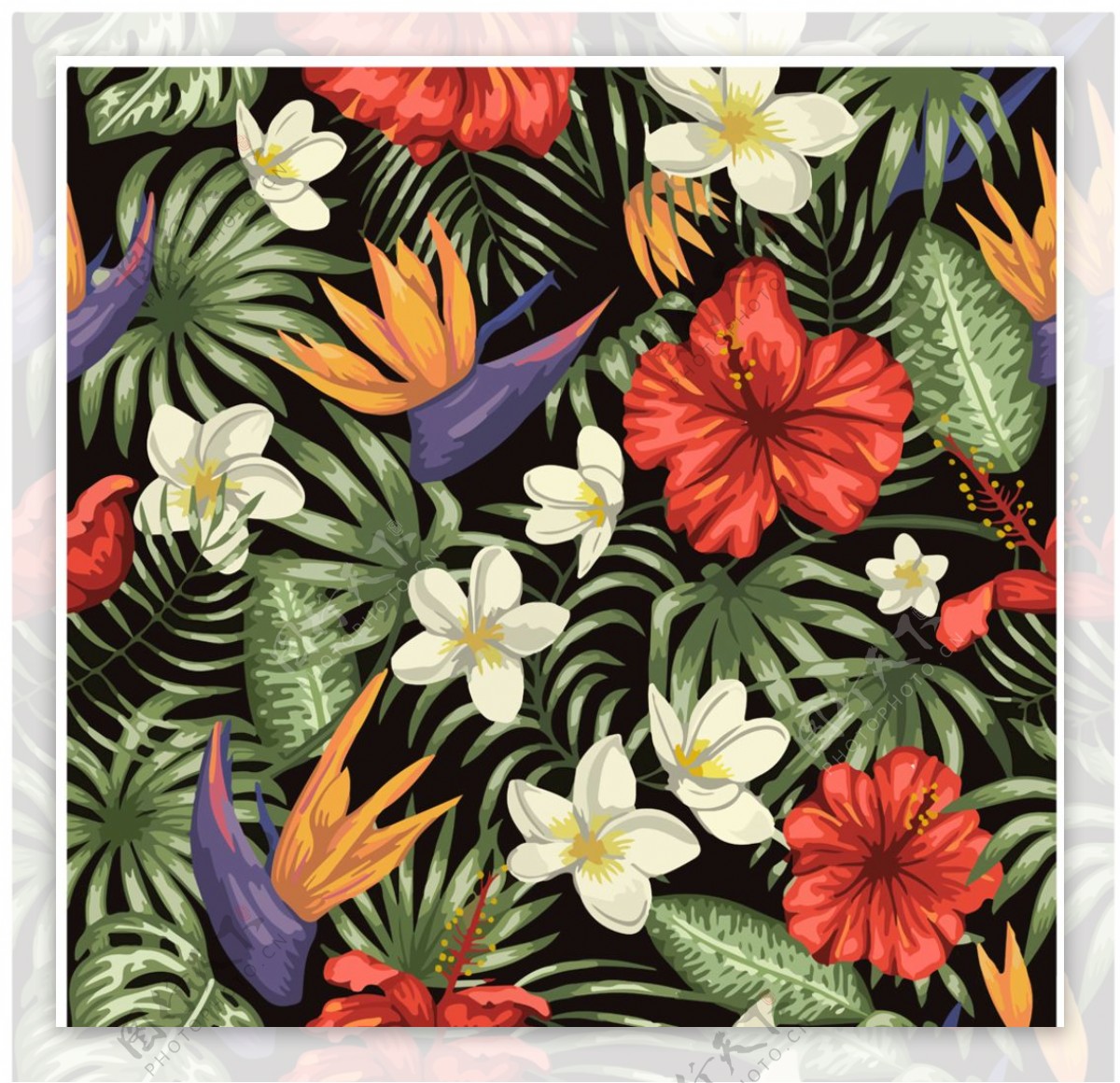 热带植物花卉背景底纹图片