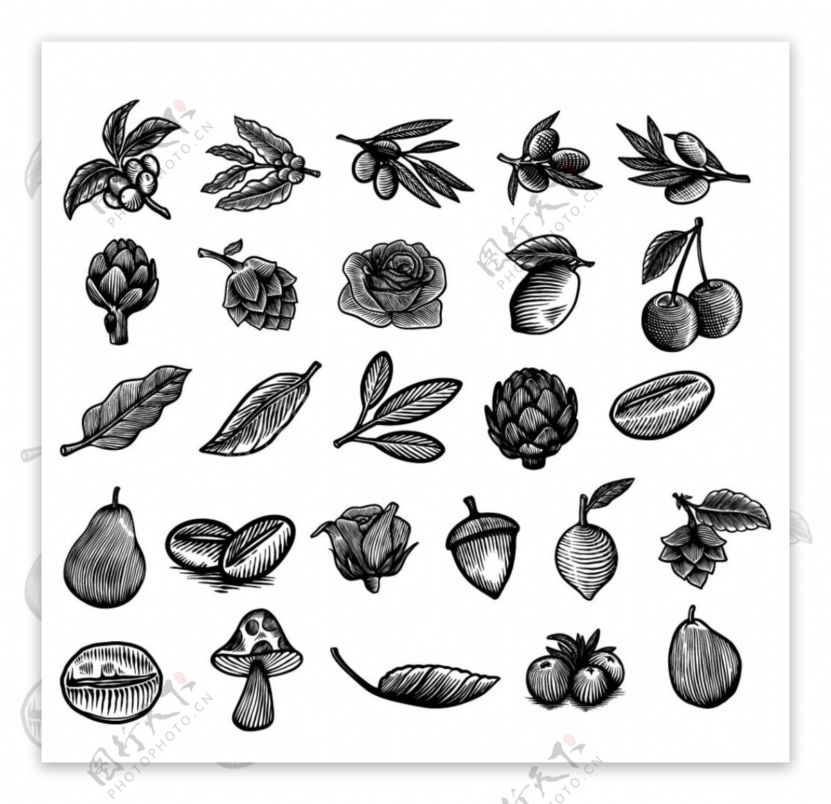 食物水果黑白線條葡萄PSD圖案素材免費下載，圖片尺寸2060 × 2048px - Lovepik
