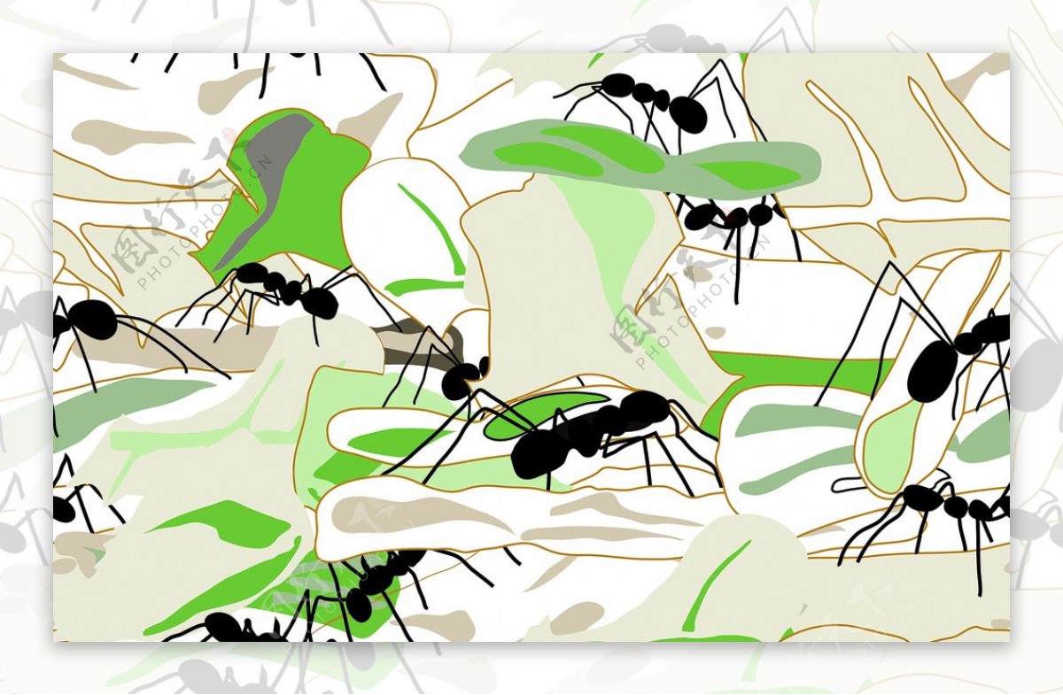 蚂蚁图案图片