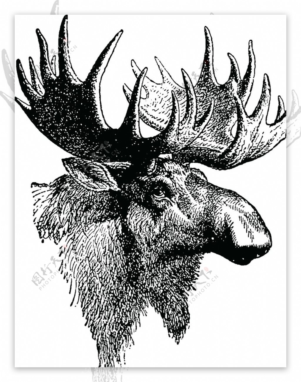 梅花鹿麋鹿黑白简约背景海报素材图片