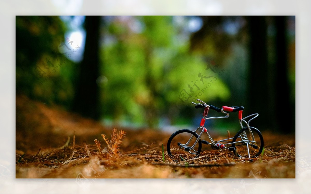 森林里的自行车图片