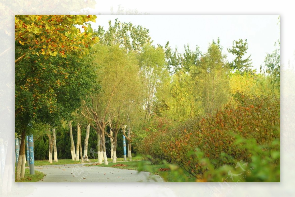 秋季公园图片
