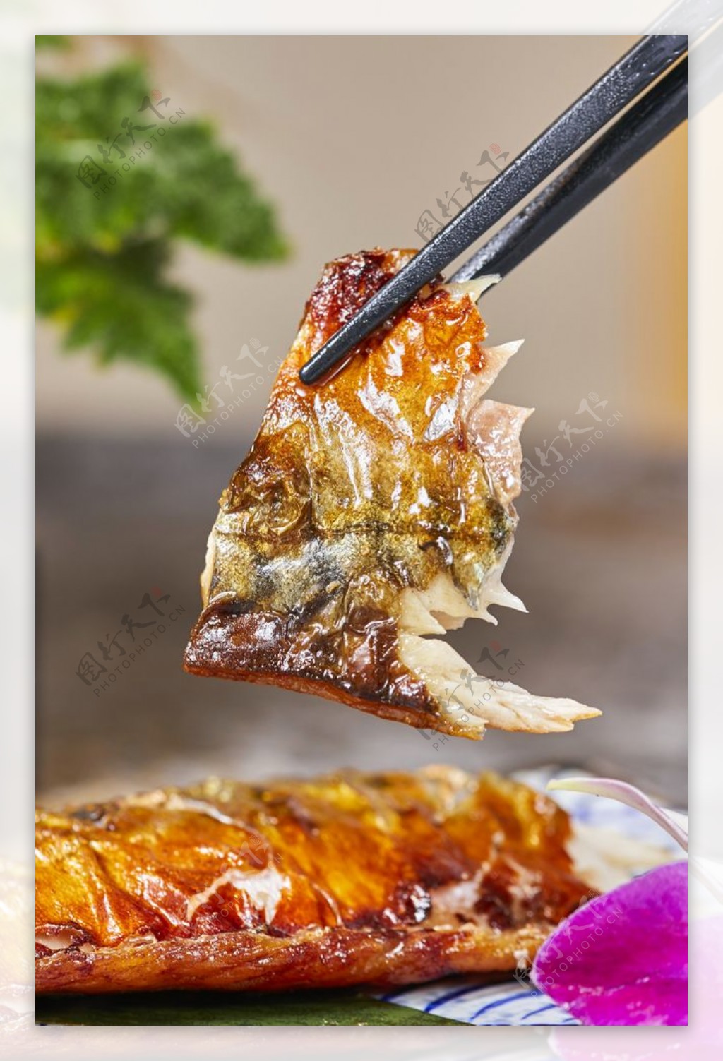 鱼肉美食食材海报素材图片