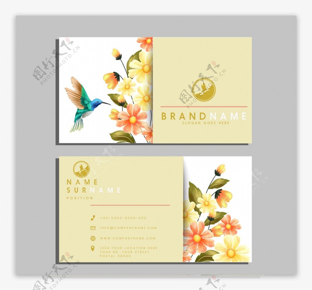 蜂鸟和花卉商务名片图片