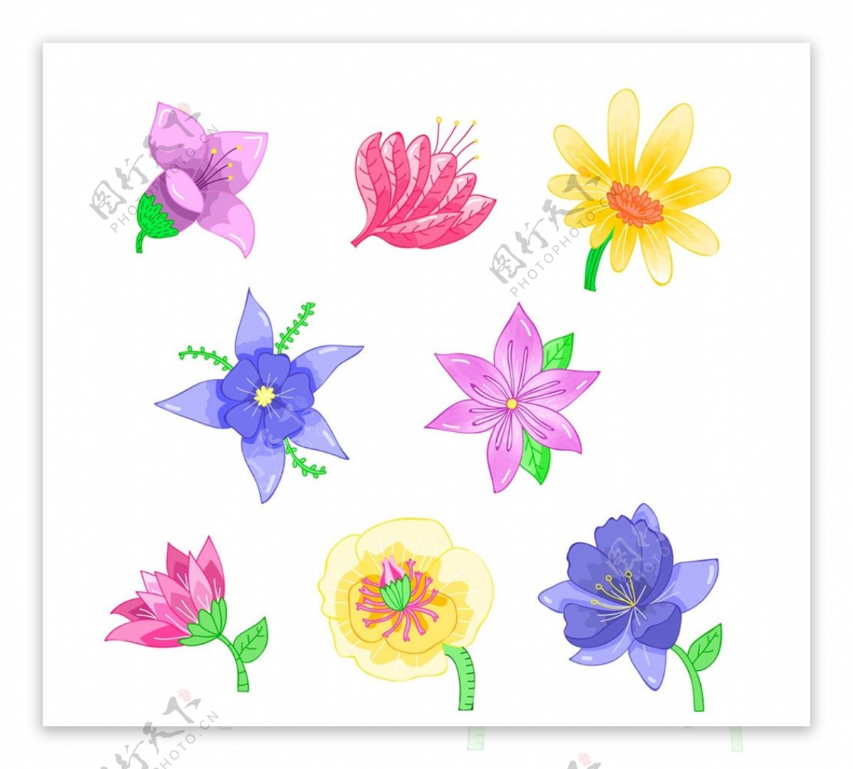 水彩绘花朵设计图片
