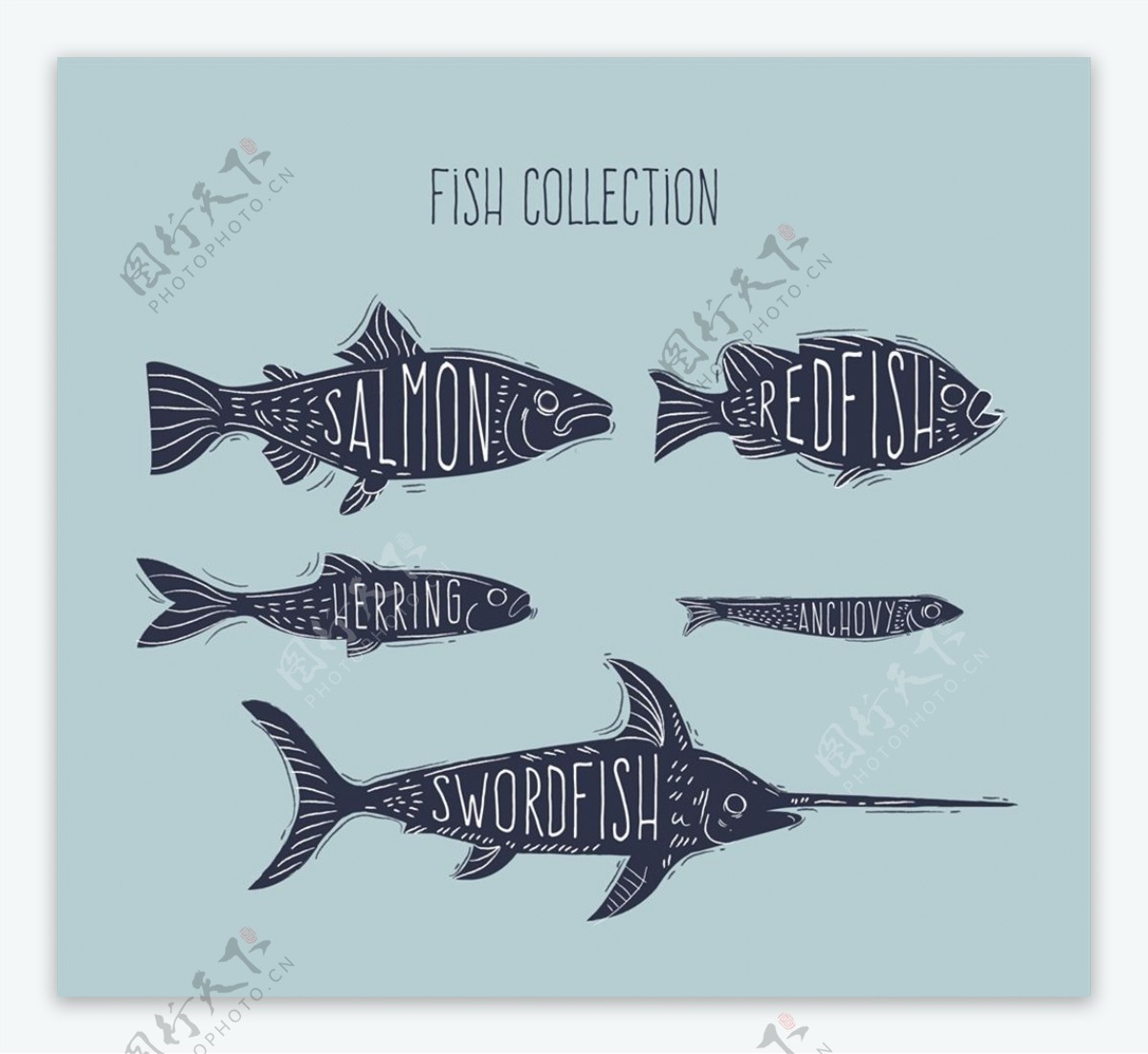 手绘带名字的鱼类图片