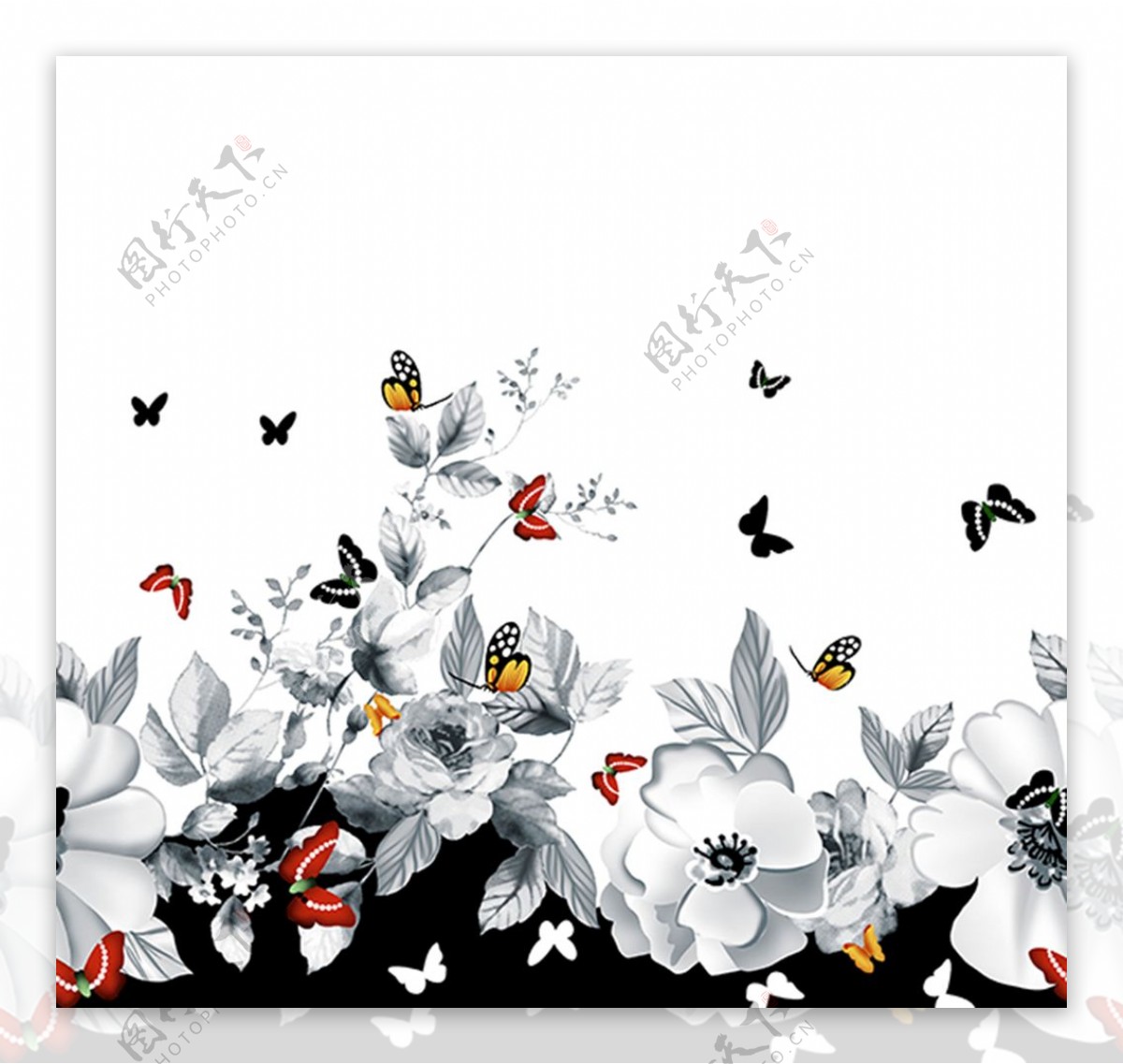 蝴蝶花手绘花黑白花图片