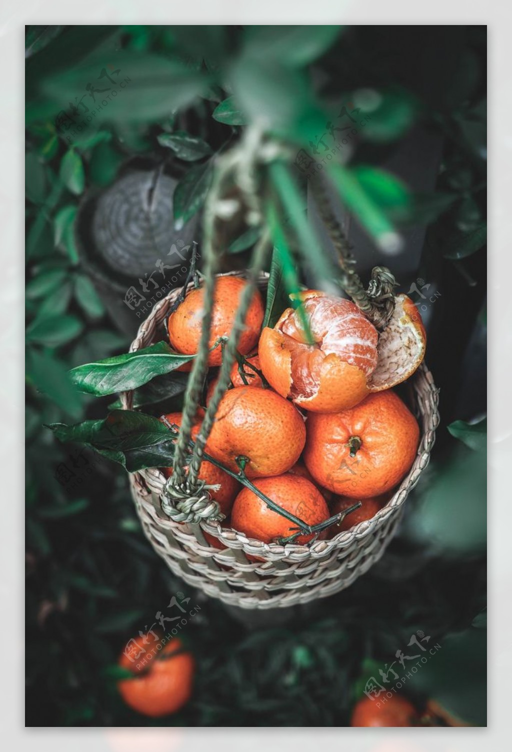 柑橘桔子水果美食背景海报素材图片