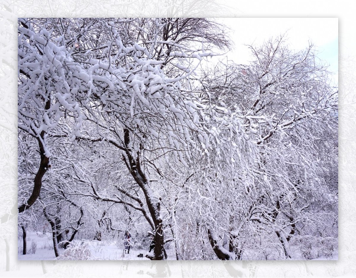 雪景图片