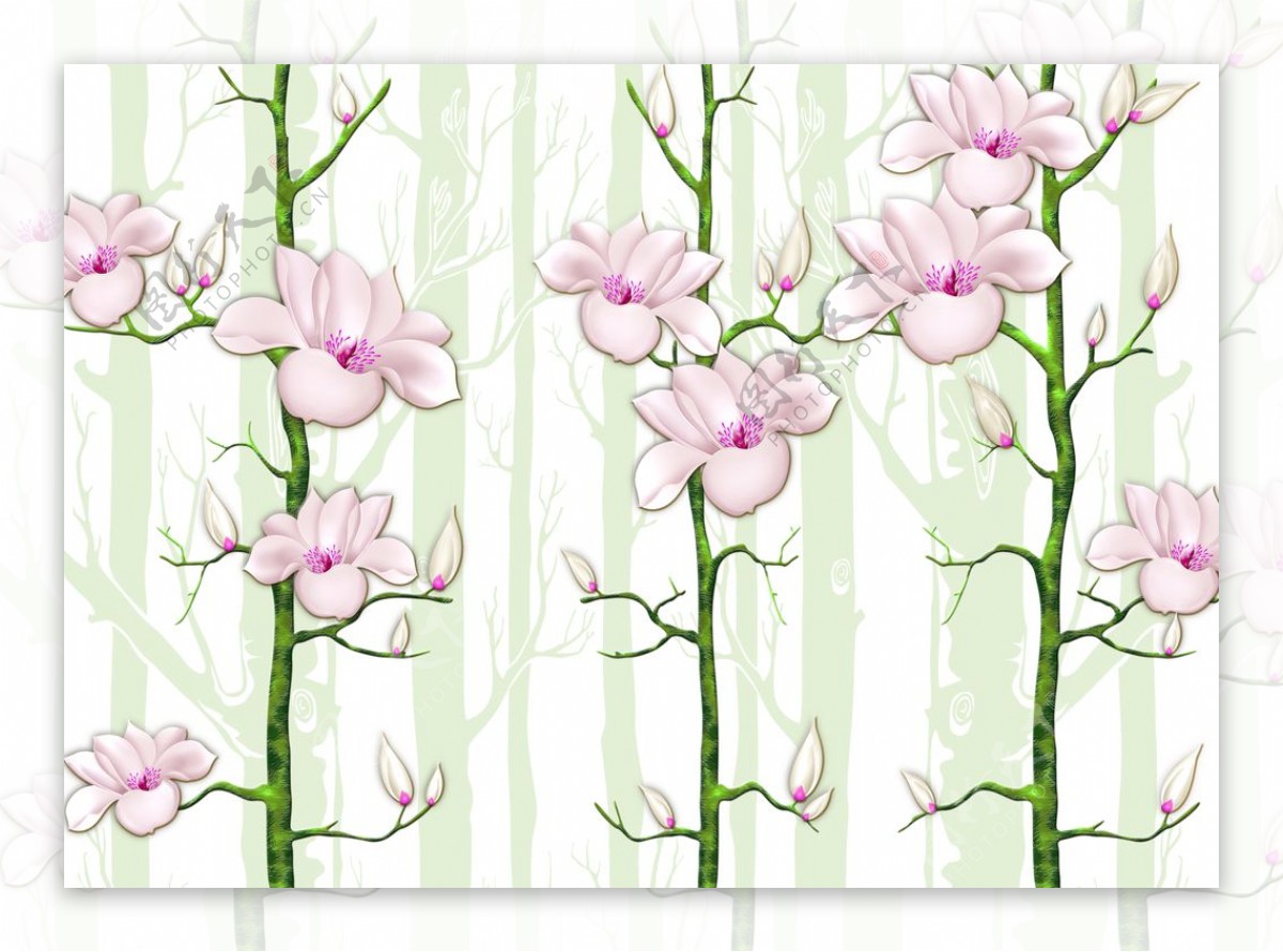 花卉壁纸图片