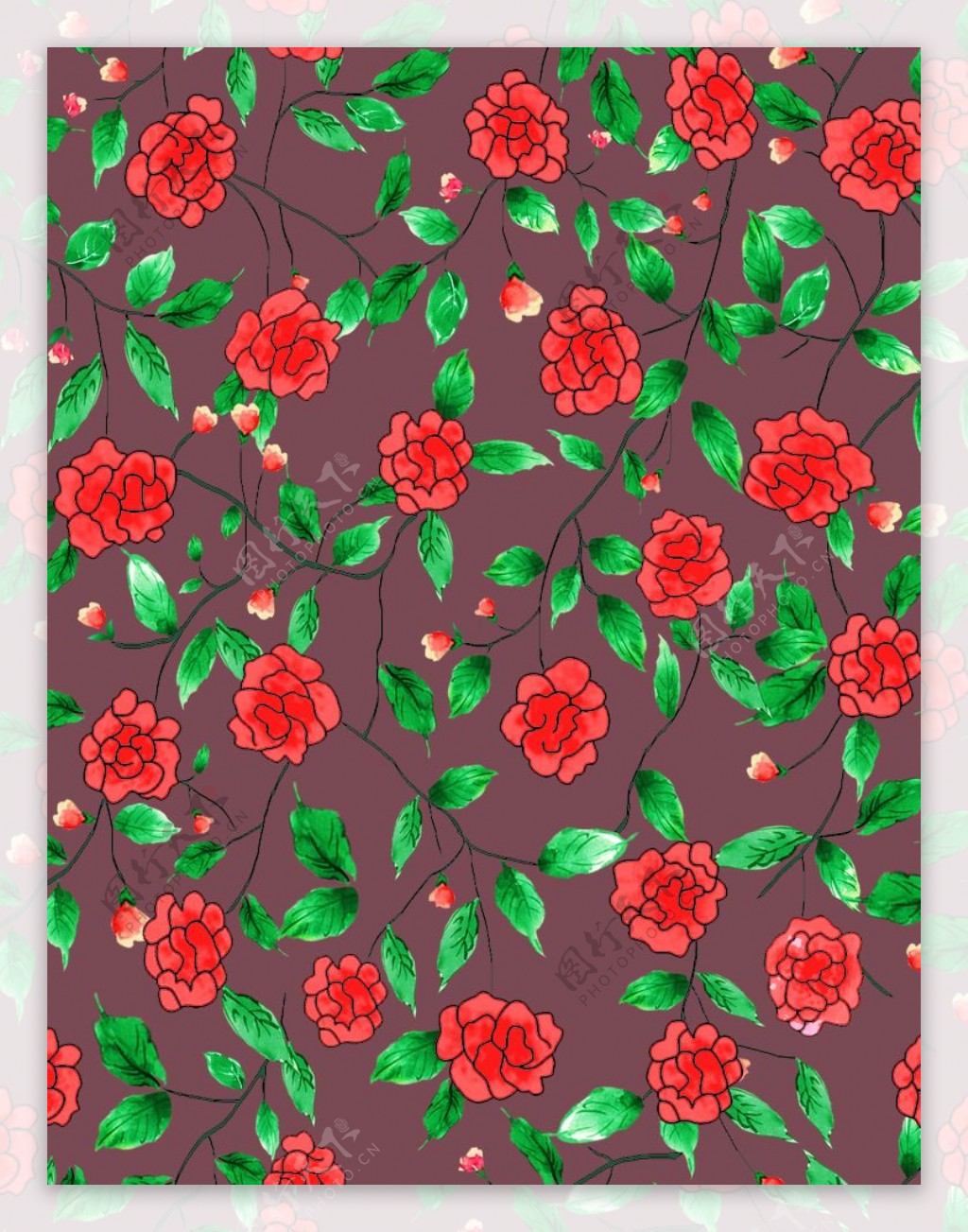 玫瑰月季手绘花图片