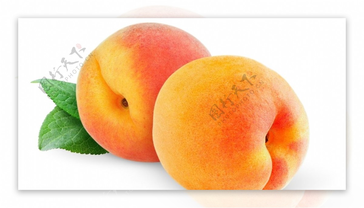 两个桃子图片