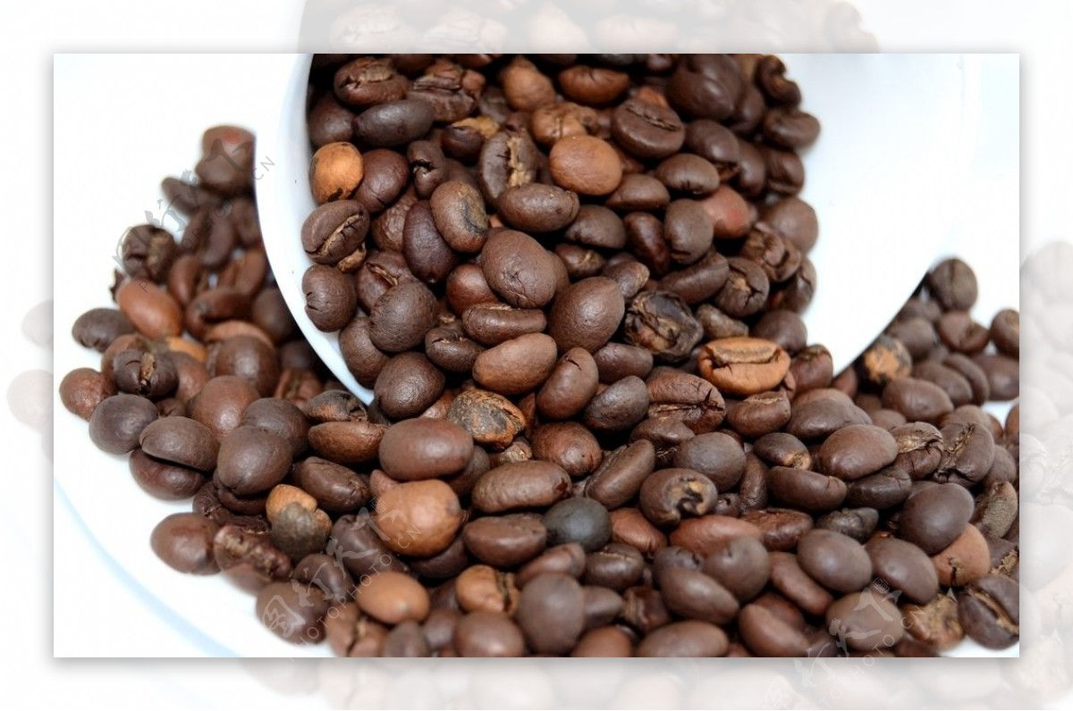 颗粒饱满味道香醇的咖啡豆图片