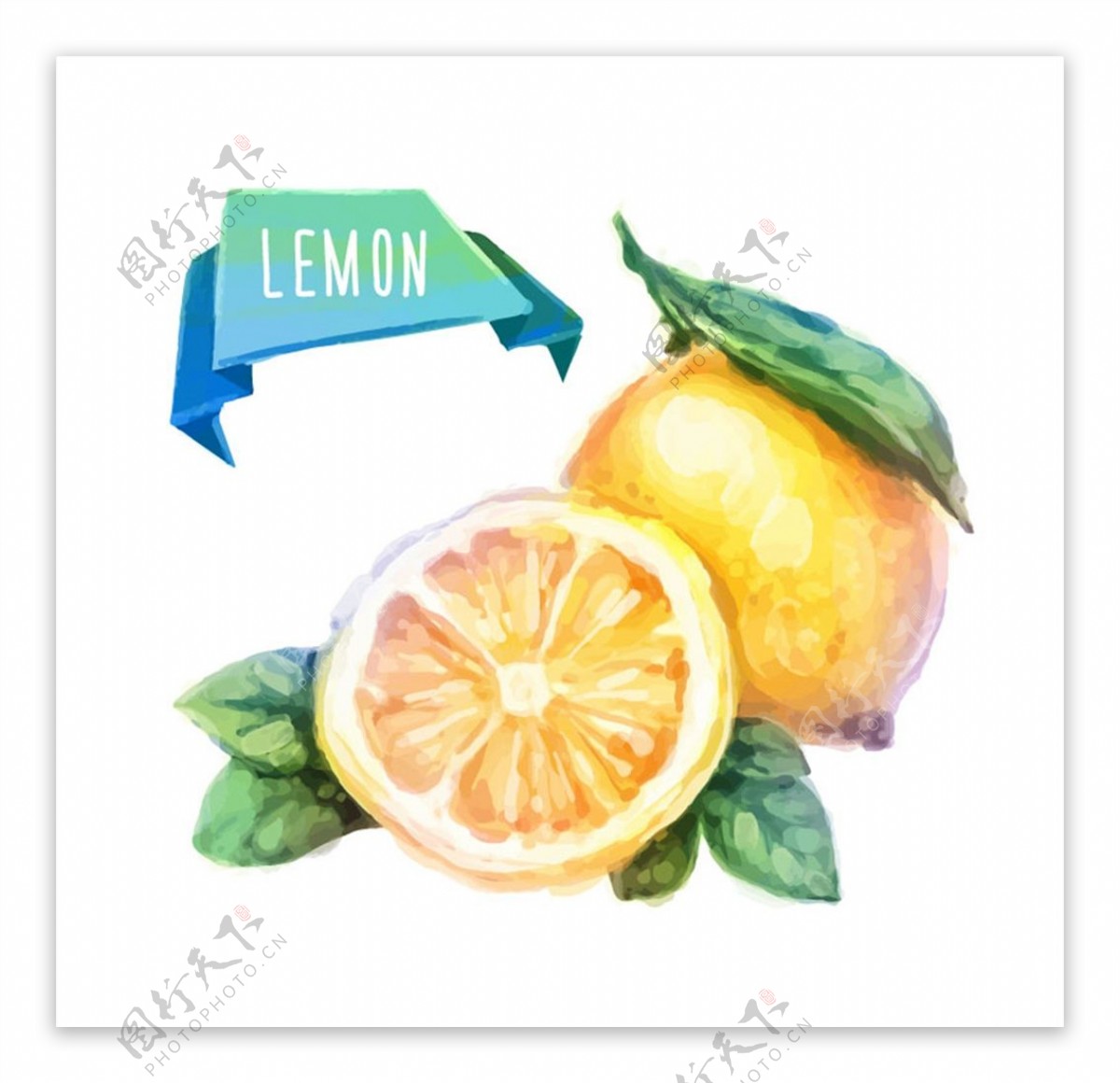水彩黄柠檬矢量图片