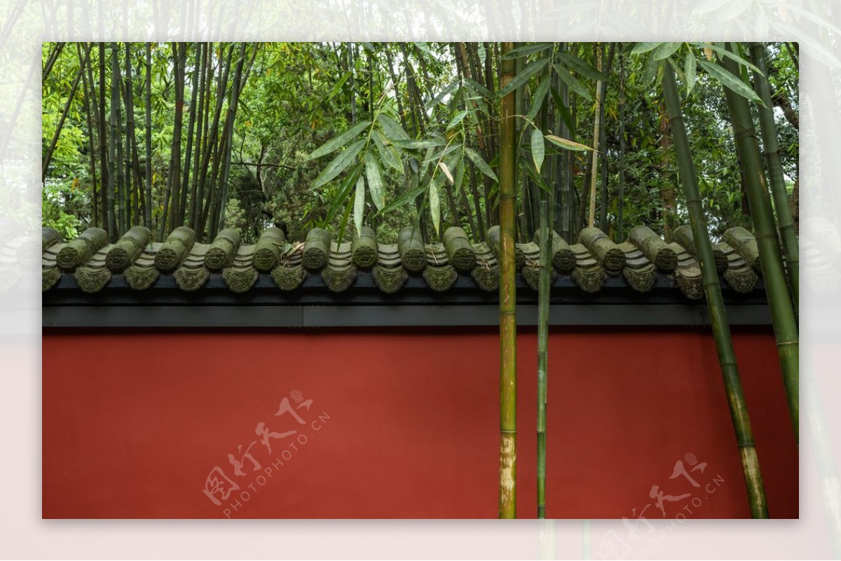 竹子红墙图片