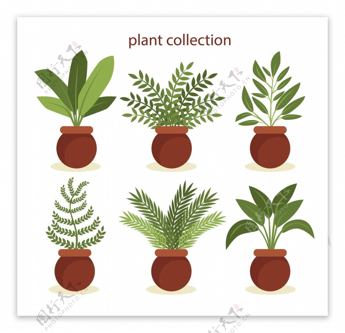 盆栽植物摆件图片