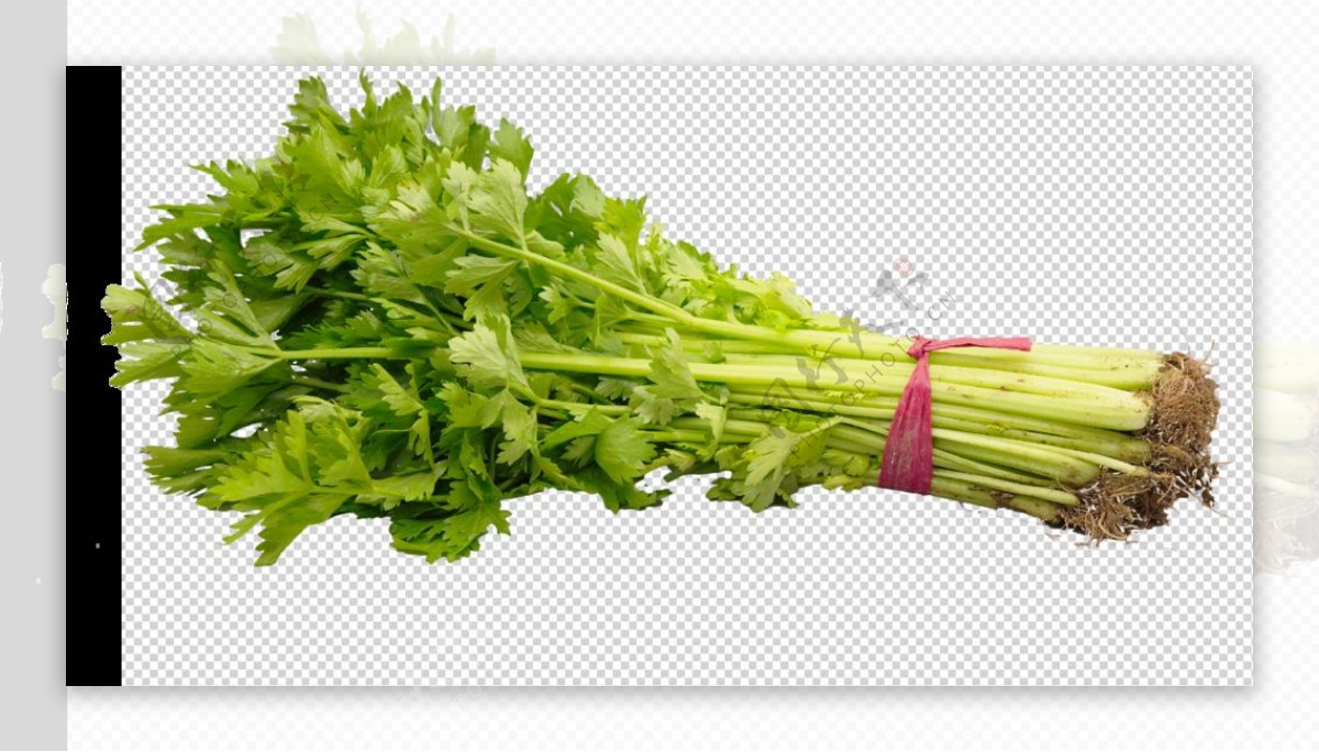 芹菜图片