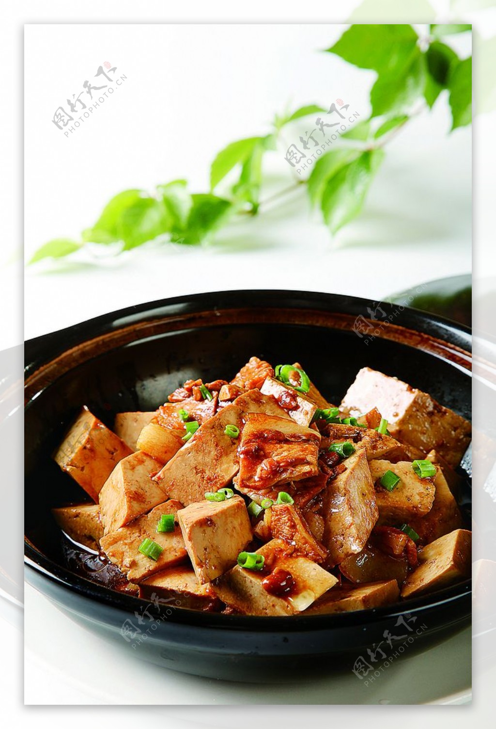 浙菜小炒肉炖豆腐图片