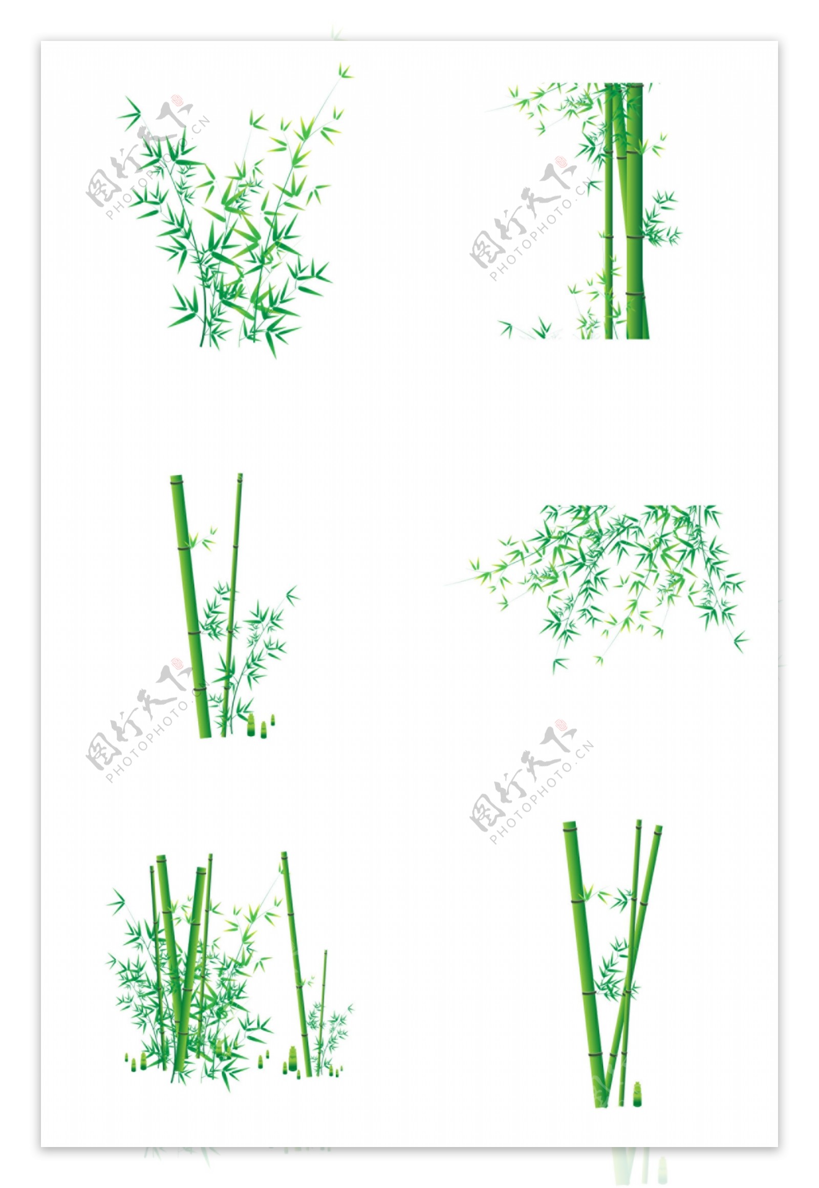 绿色竹子图片