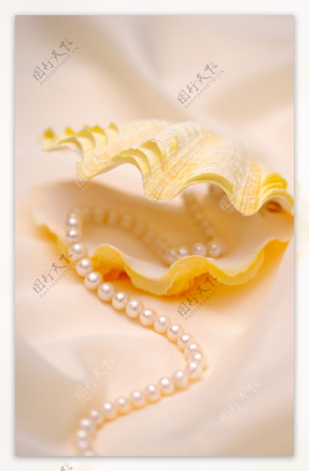 珍珠项链珠宝首饰背景海报素材图片