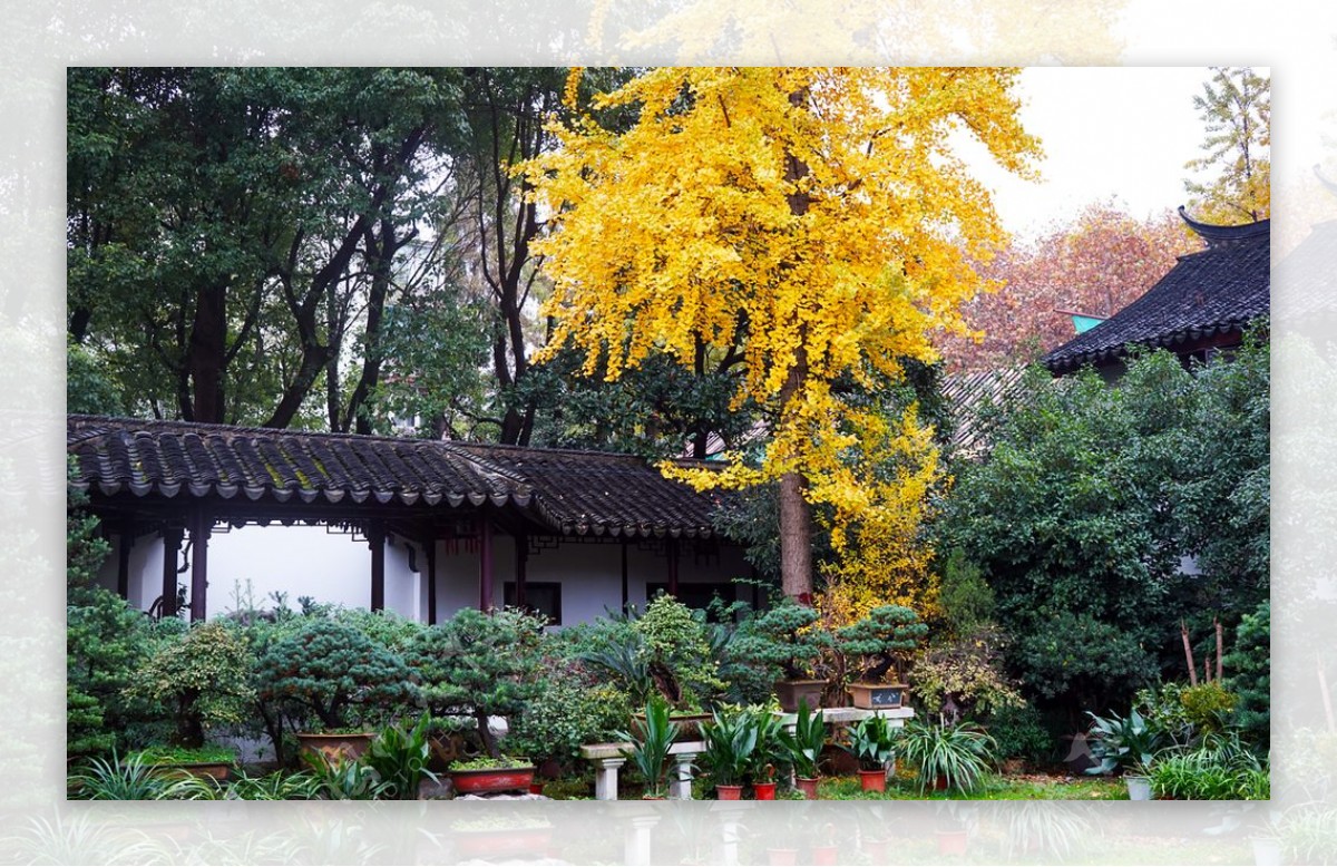 苏州园林秋季图片