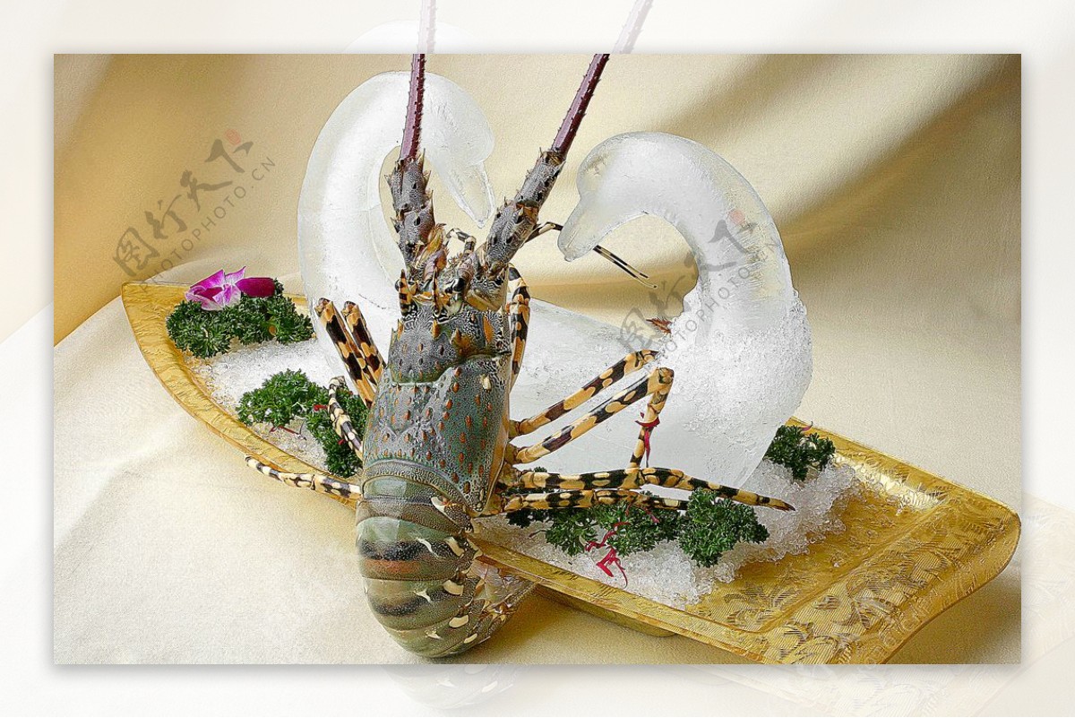 海鲜龙虾图片