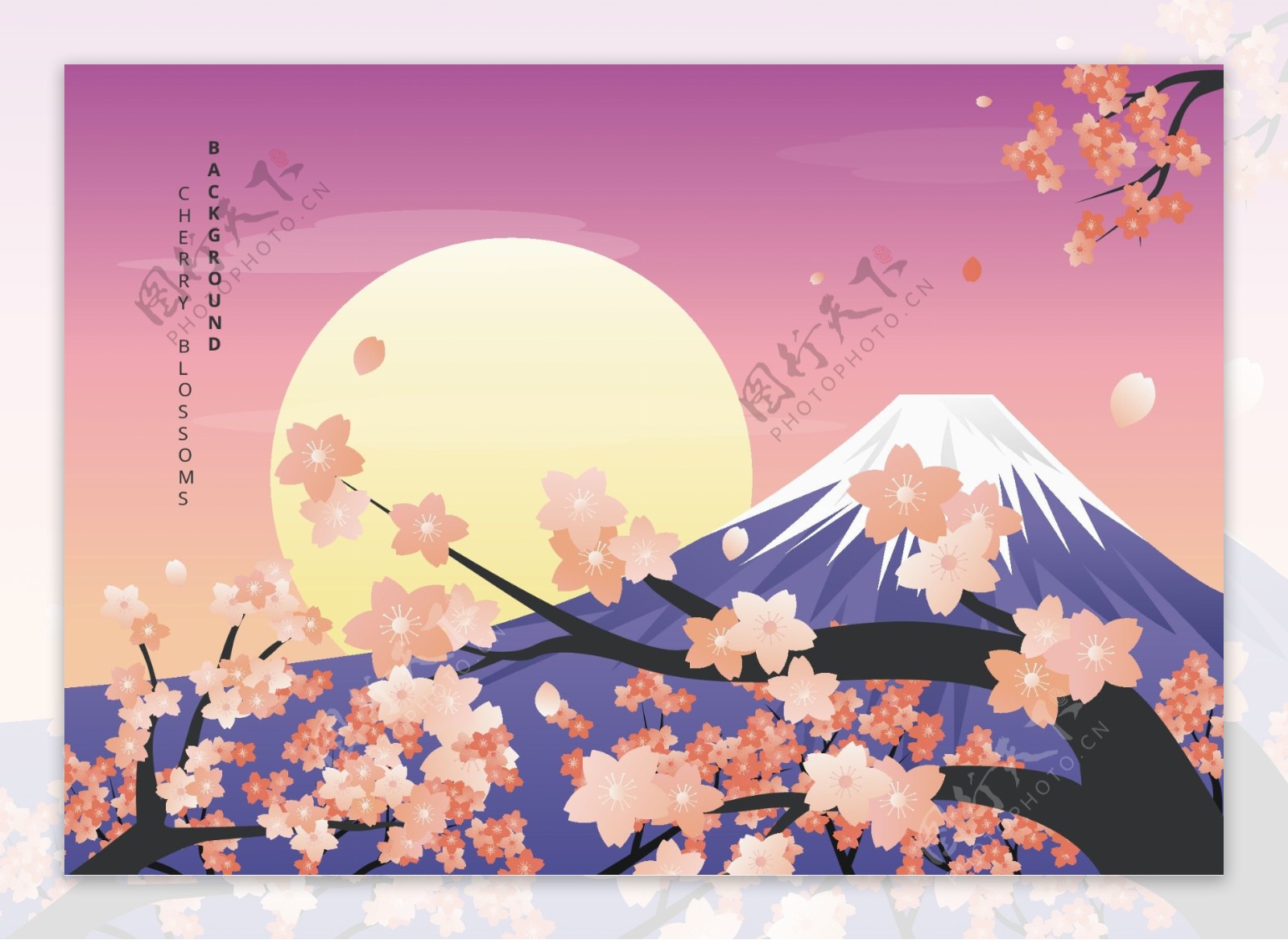 富士山樱花插画图片