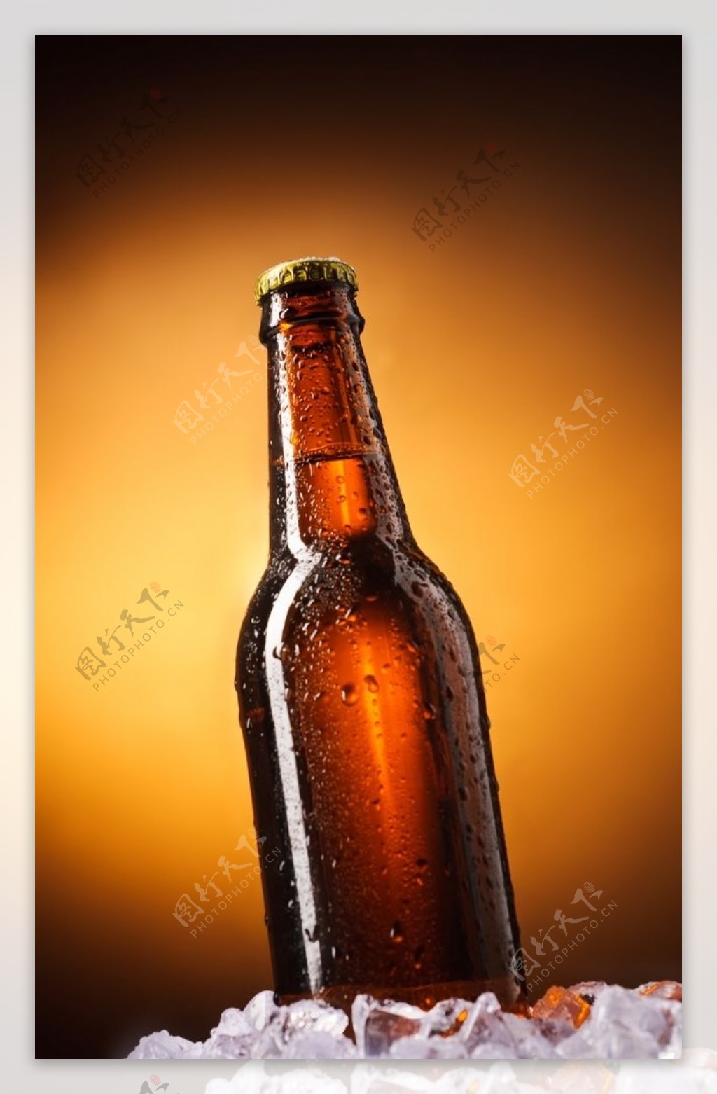 啤酒玻璃瓶图片