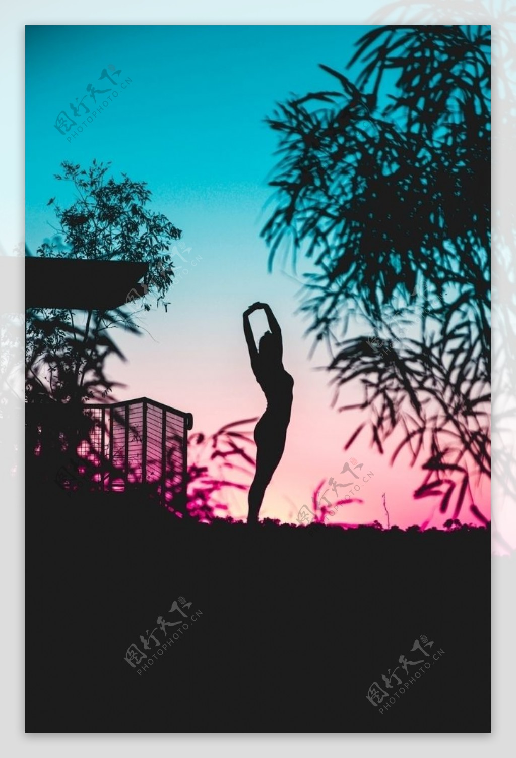 落日树林下瑜伽女人图片