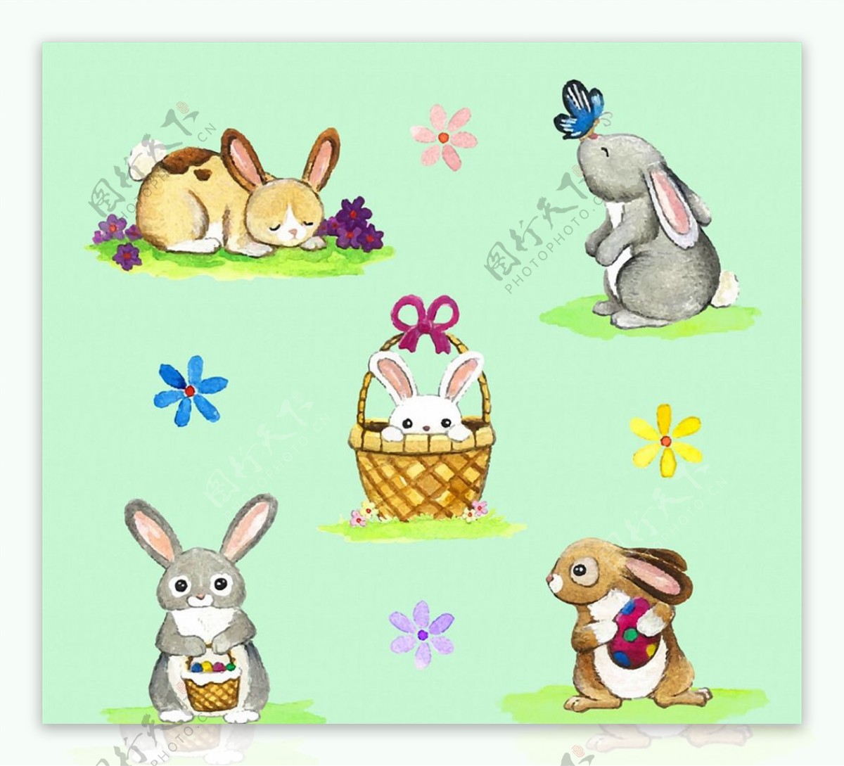 可爱彩绘兔子图片