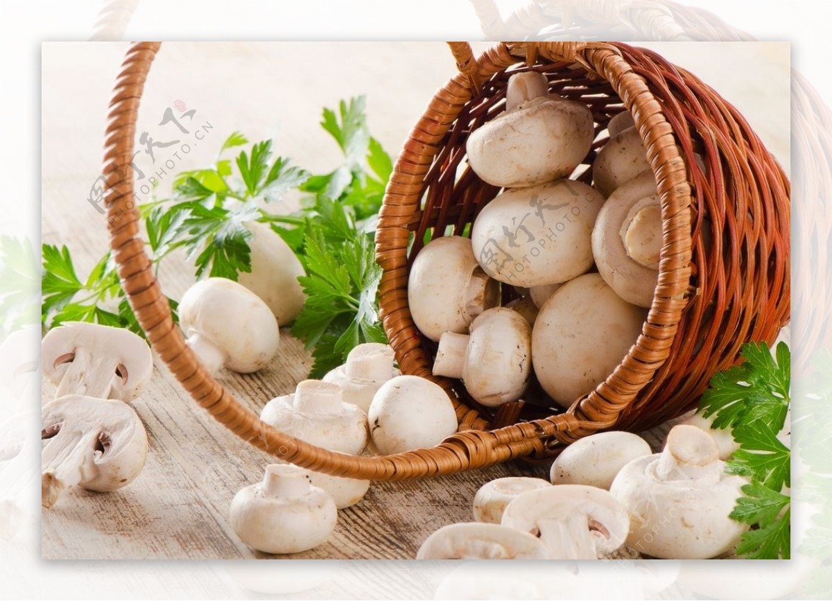 西餐入门1080：蘑菇篇，介绍几种西餐中常见的蘑菇给大家 - 知乎