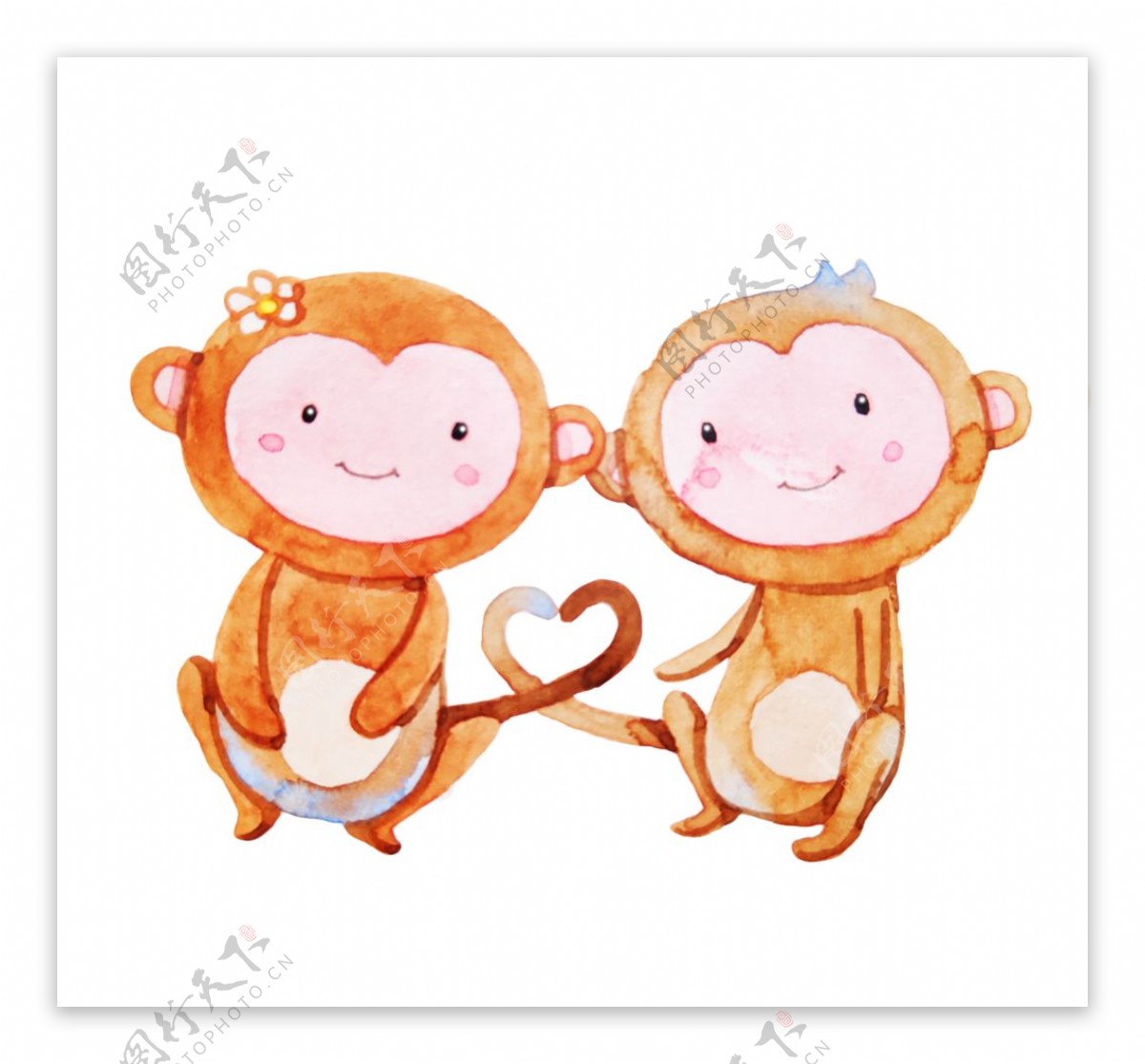 猴子情侣插画图片