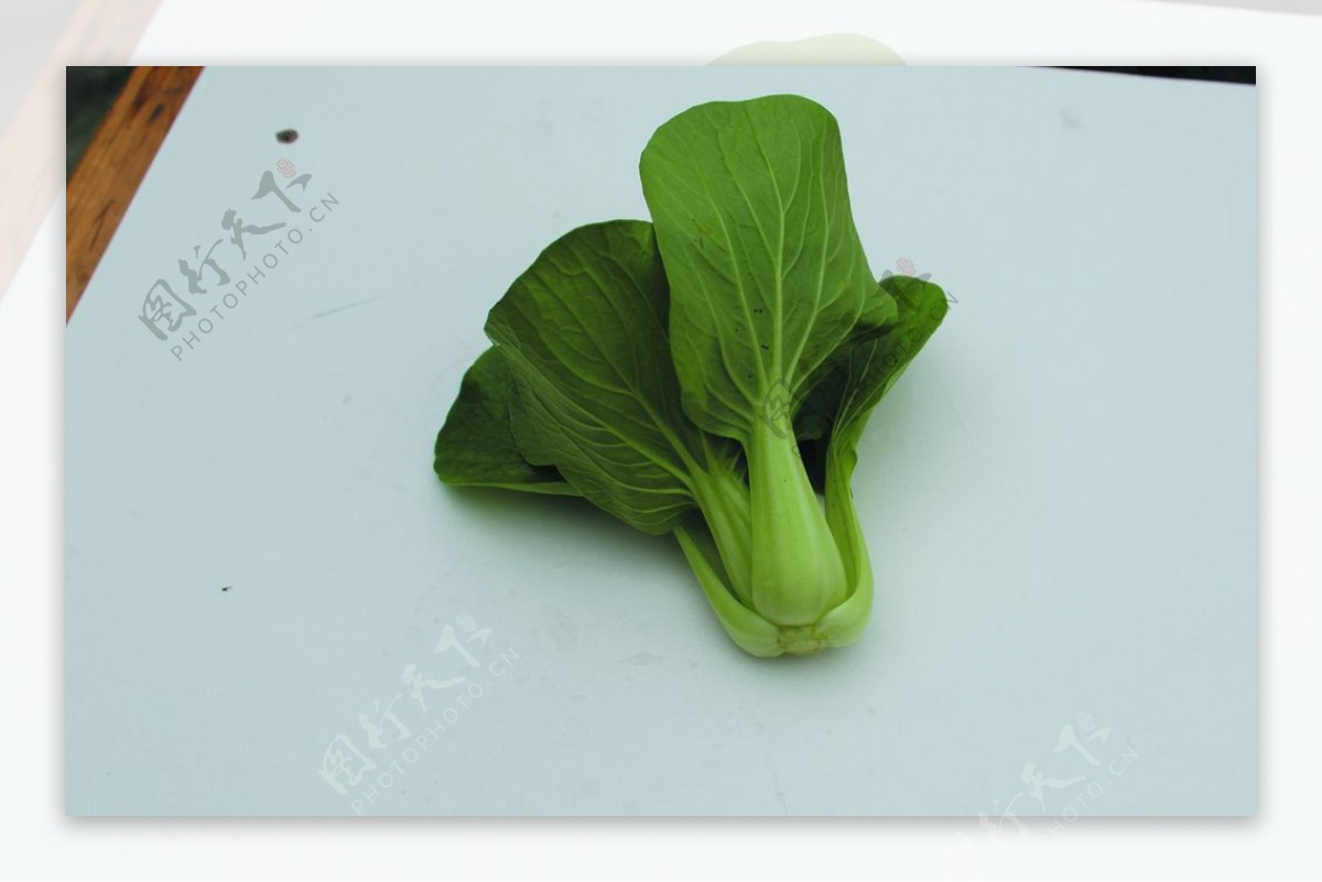 蔬菜瓢耳白图片