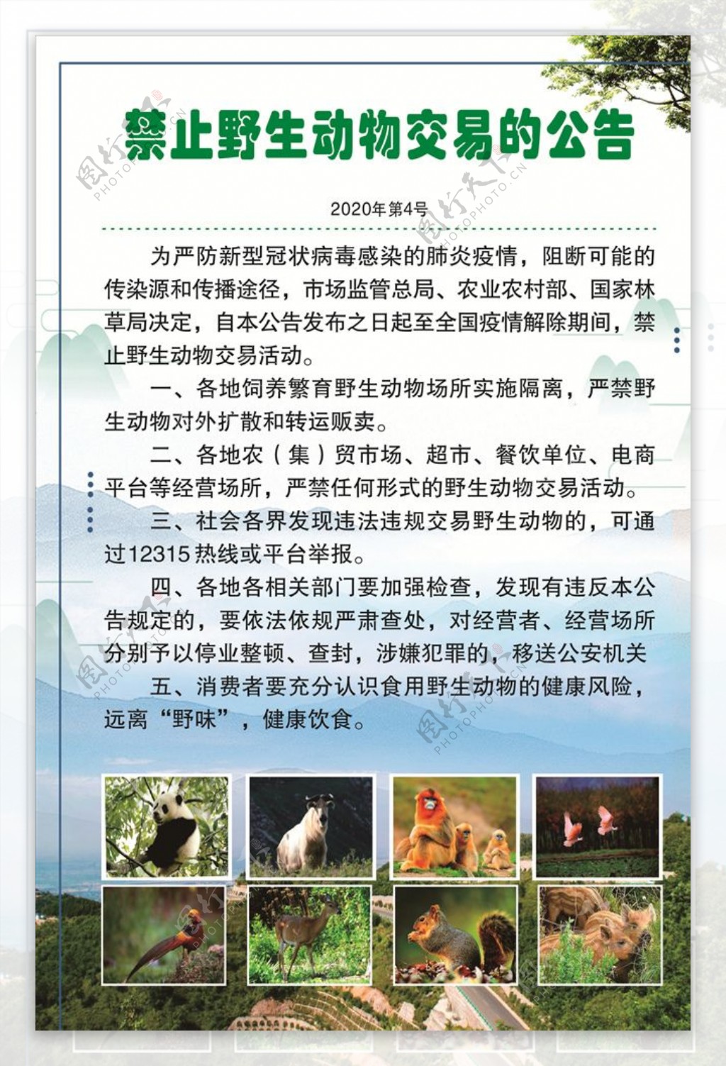 禁止野生动物交易通告图片