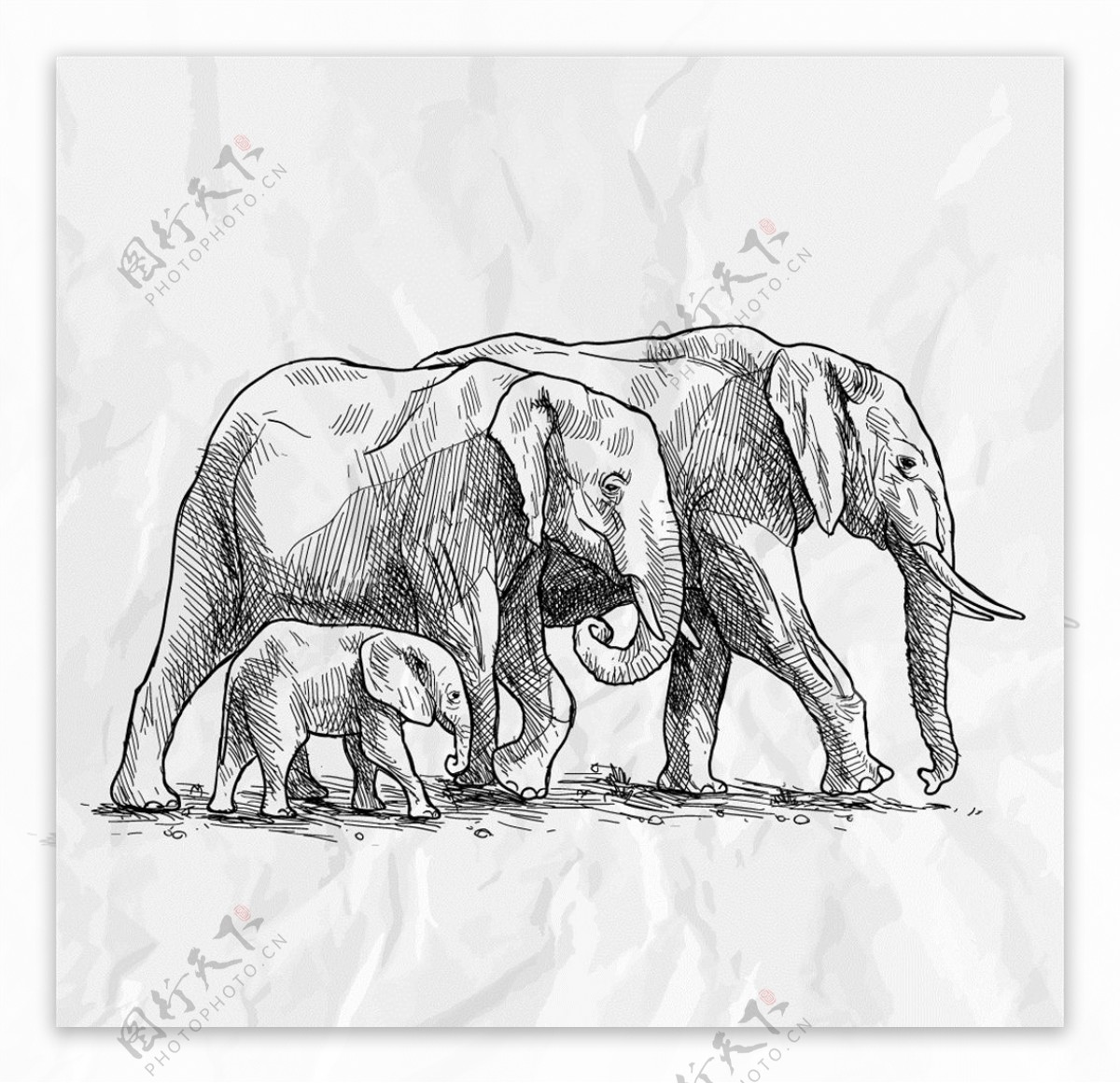 大象手绘矢量素材图片