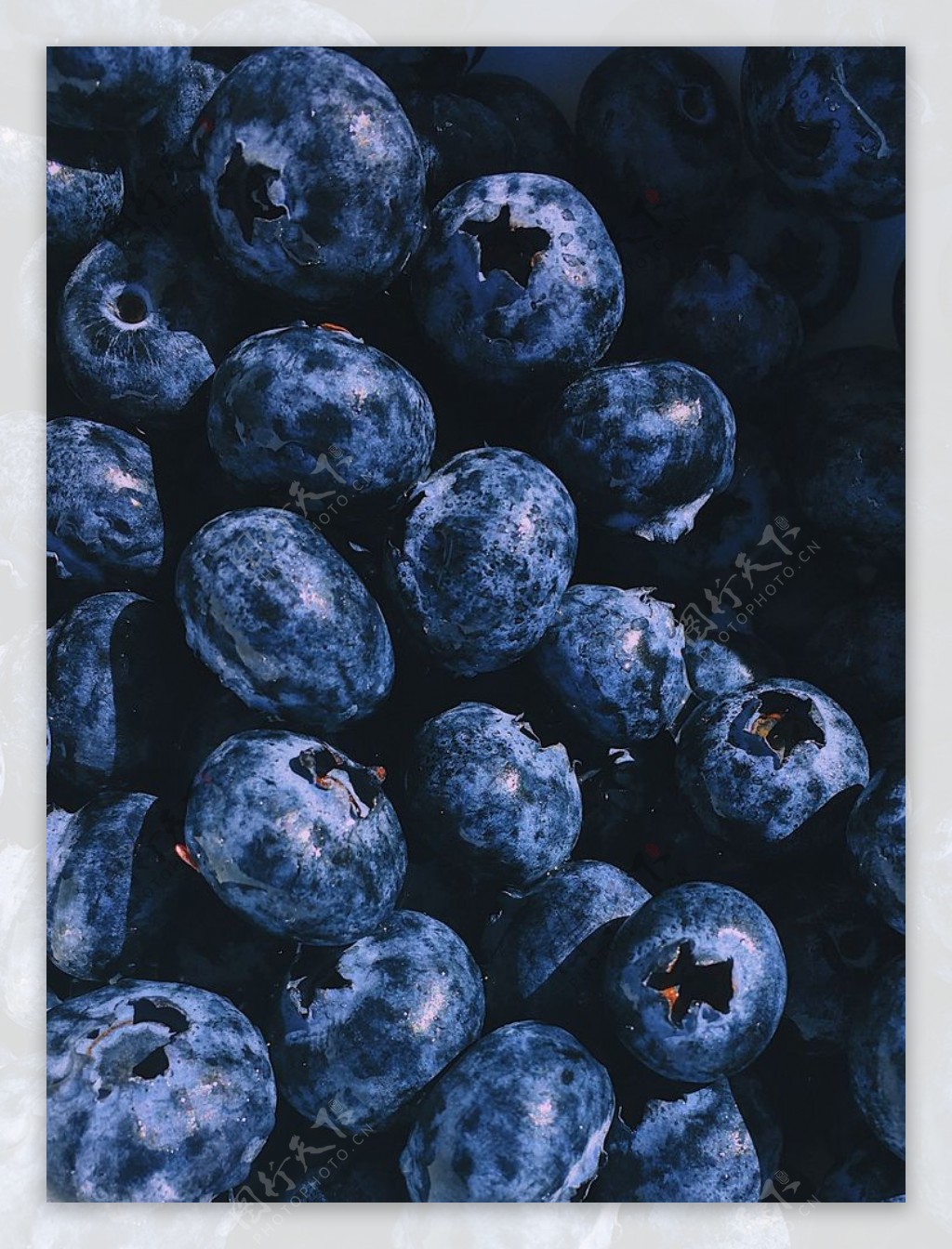 蓝莓|摄影|静物|大樹 - 原创作品 - 站酷 (ZCOOL)