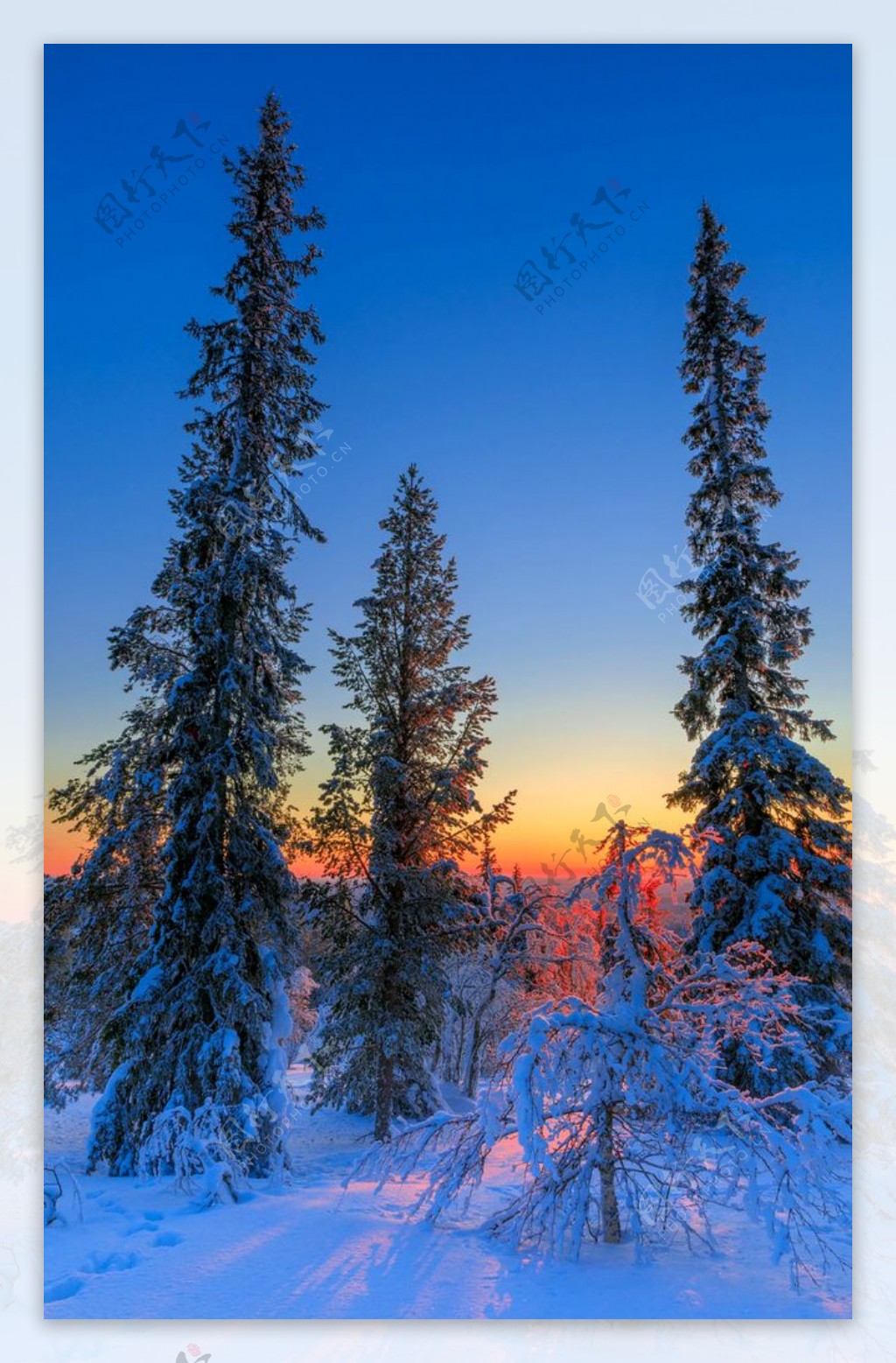 雪景图片